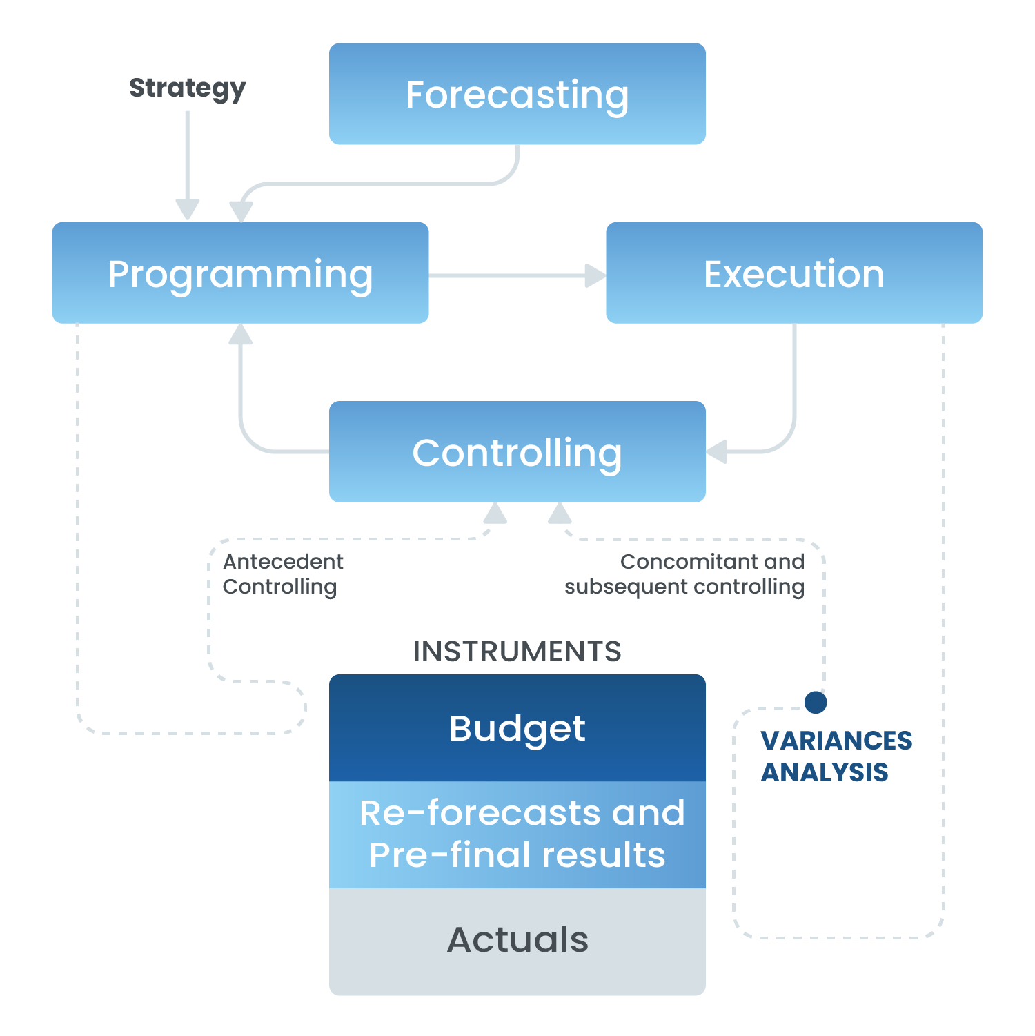 Controlling & Business Intelligence - Action Network